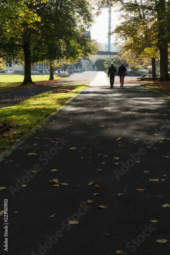 Wallpaper Mural Spaziergang im Herbst Torontodigital.ca