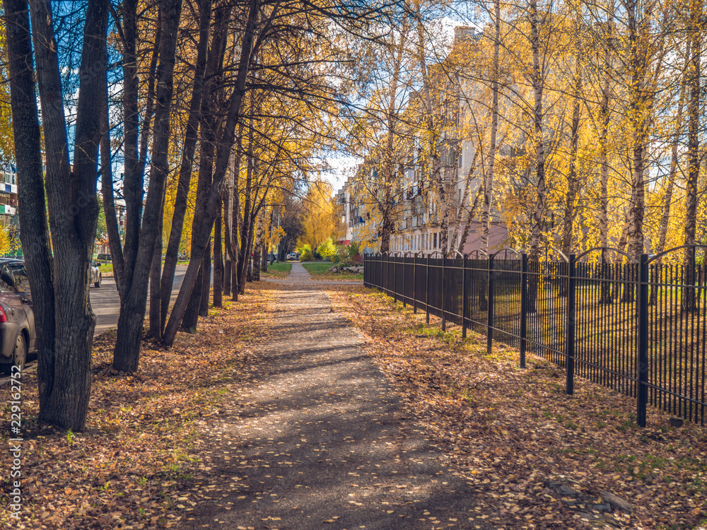 Autumn in a town