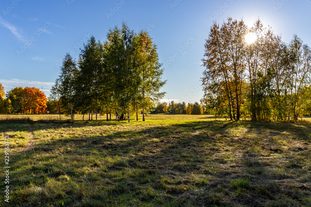 autumn in the park moscow