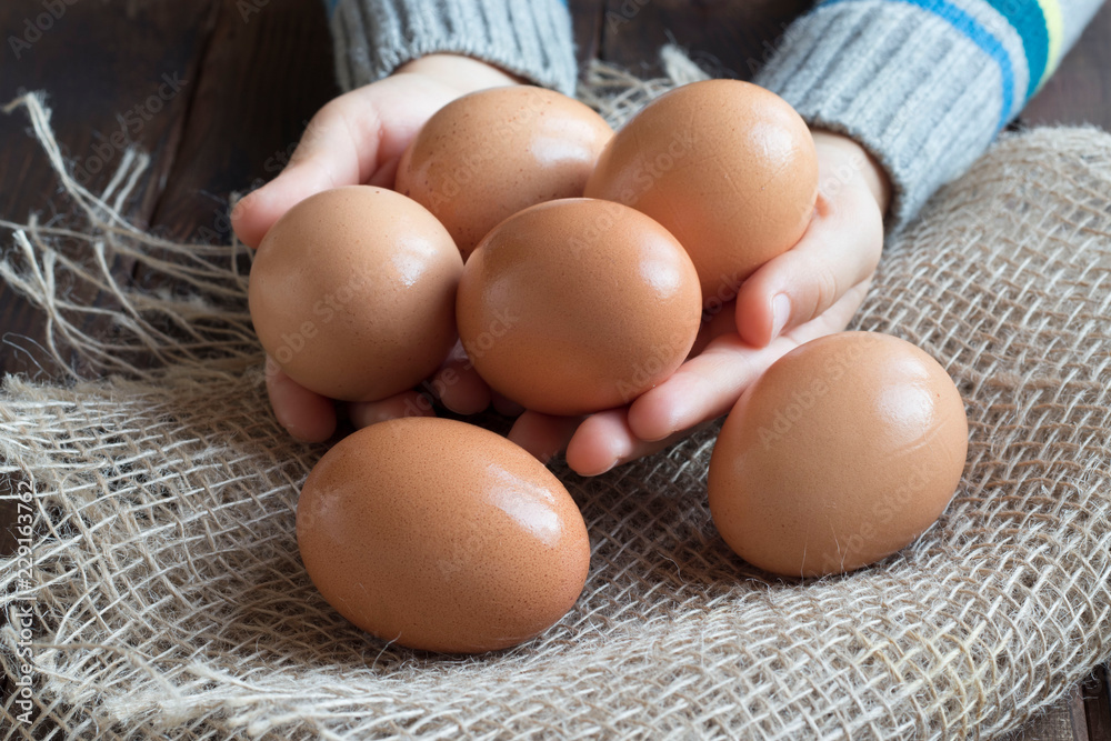 baby hand holding a chicken egg, close-up baby hand holding a chicken egg, close-up