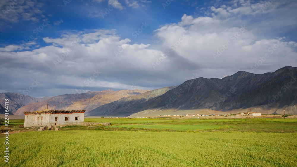 Greenfield of Padum Valley, Zanskar, Ladakh region, India.