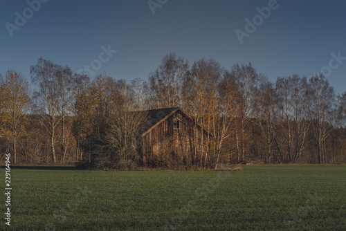 Abandoned barn standing on greena field photo