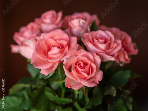 Pink Rosa Rose Flower Bunch © VGV