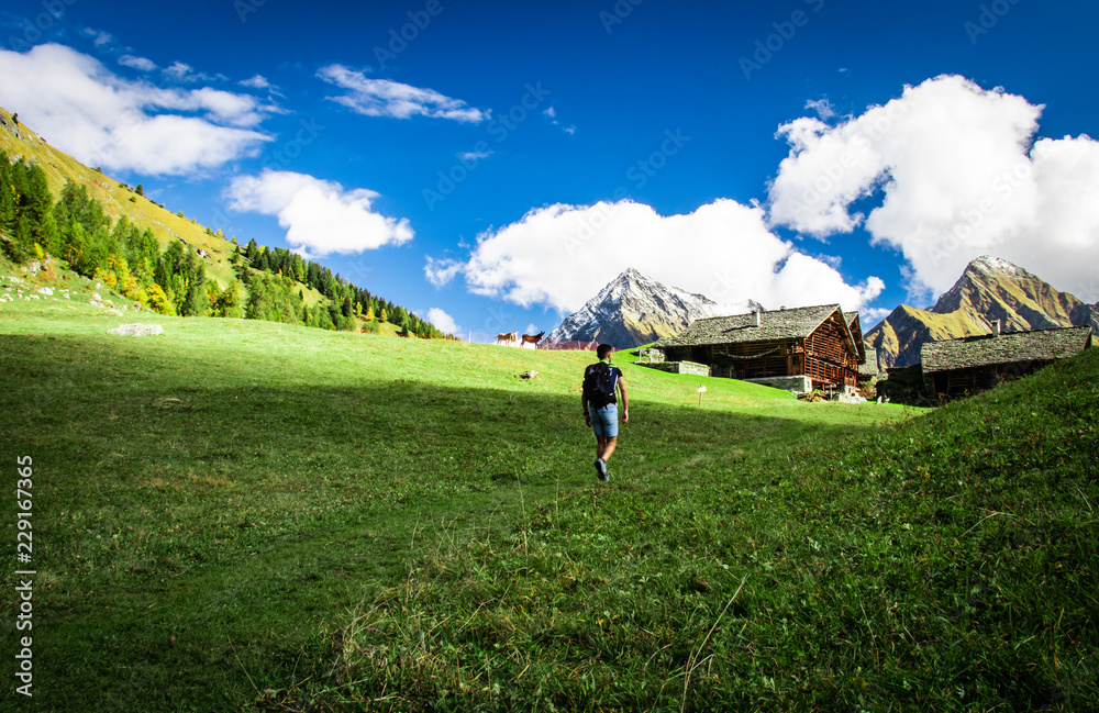 hiing in the meadow of the Alps