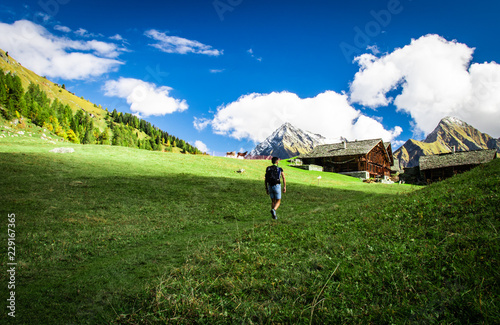 hiing in the meadow of the Alps