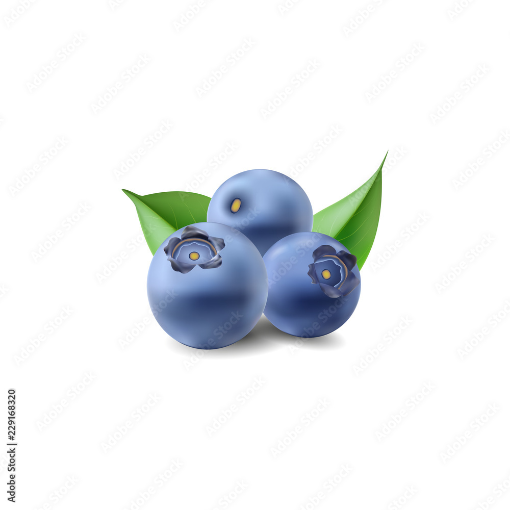 blueberry 