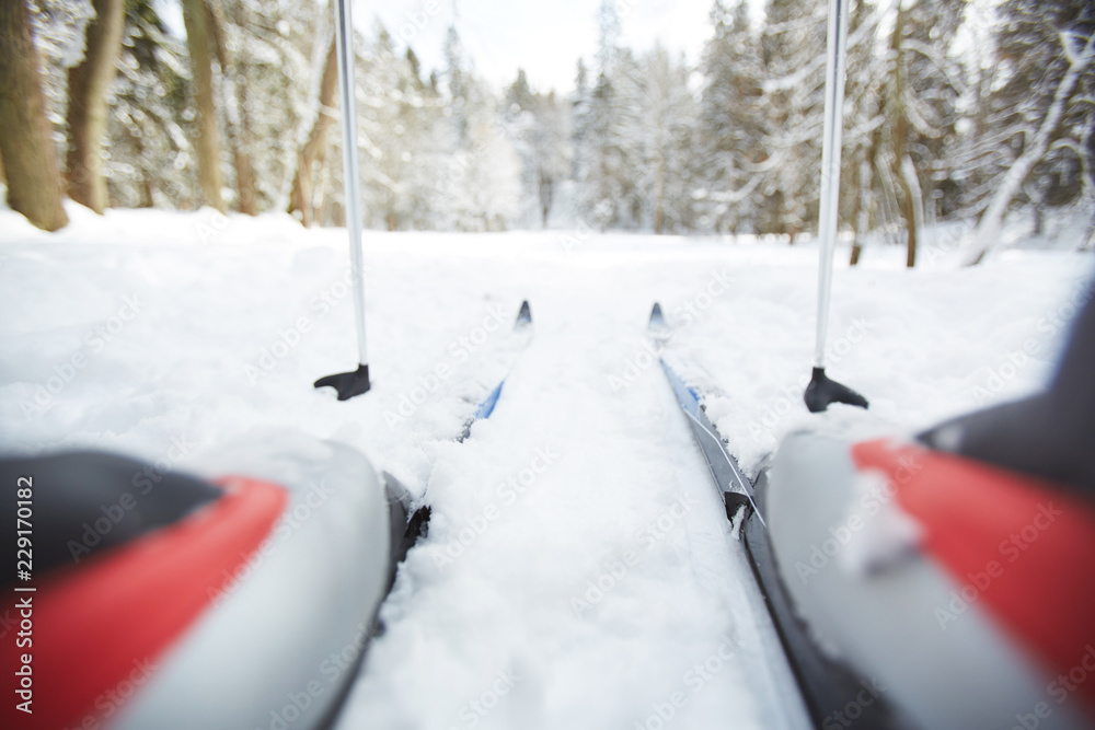 Sticks and skis of active skier during training in winter forest on weekend Sticks and skis of active skier during training in winter forest on weekend