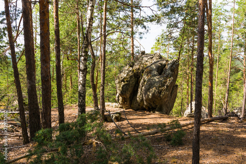 Лесные скалы