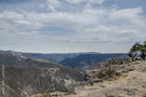 peña del aire, hidalgo mexico pasaje verde con arboles, cañadas y rocas, algunos nopales con espinas