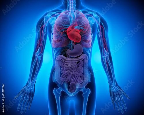 Patient 3D vor Blau