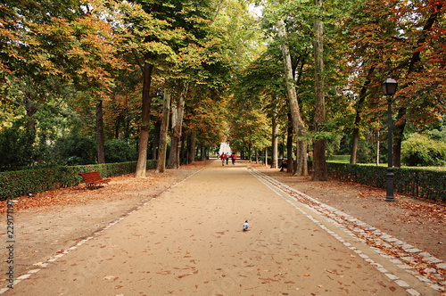 first colors of autumn in the park
