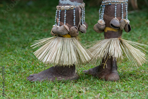 Festival Papua New Guinea body decoration photo