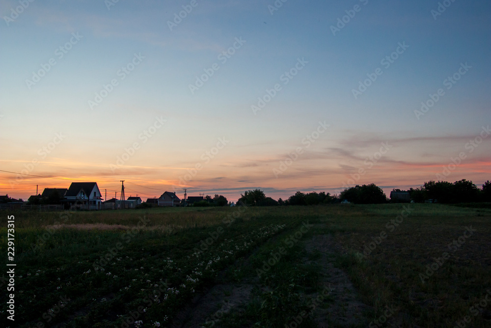 Fototapeta premium sunset over field