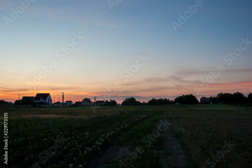 sunset over field