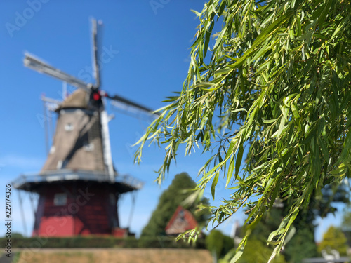 Windmill in Dokkum photo