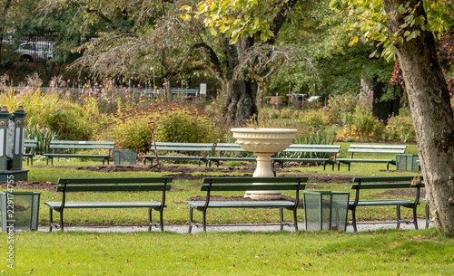 lonely benches in the park during autumn, no people, public gardens