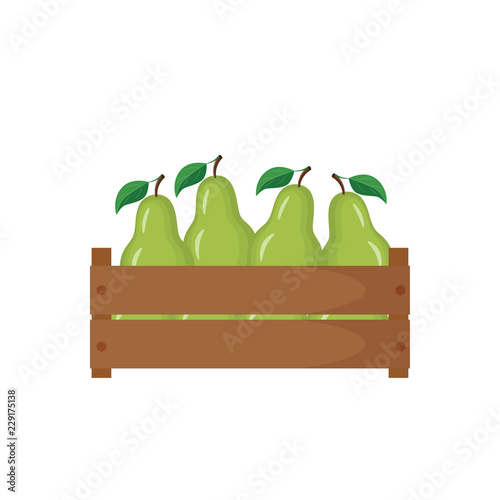 Wooden box with green pear vector illustration