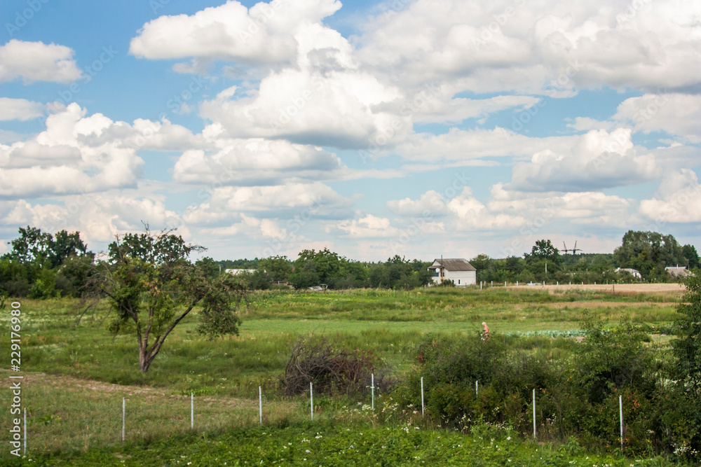 field and blue cloudy sky