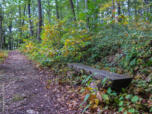 footpath and bench in the autumn park in the Loire, France