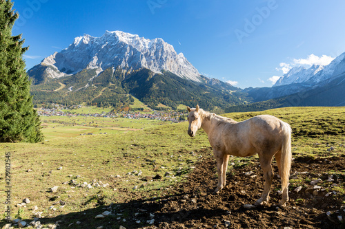 Blick auf das Zugspitzmassiv bei Ehrwald