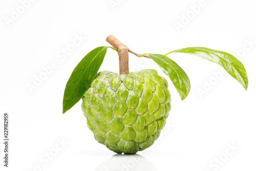 Custard apple isolated on white background with stem and leaves photo
