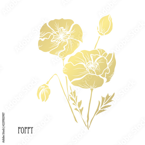 Fototapeta Naklejka Na Ścianę i Meble -  golden floral decoration