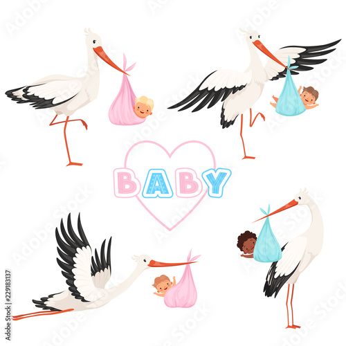 Stork with baby. Cute bird flying with newborn pacifier little children vector cartoon mascot funny poses. Illustration of stork with baby, newborn delivery