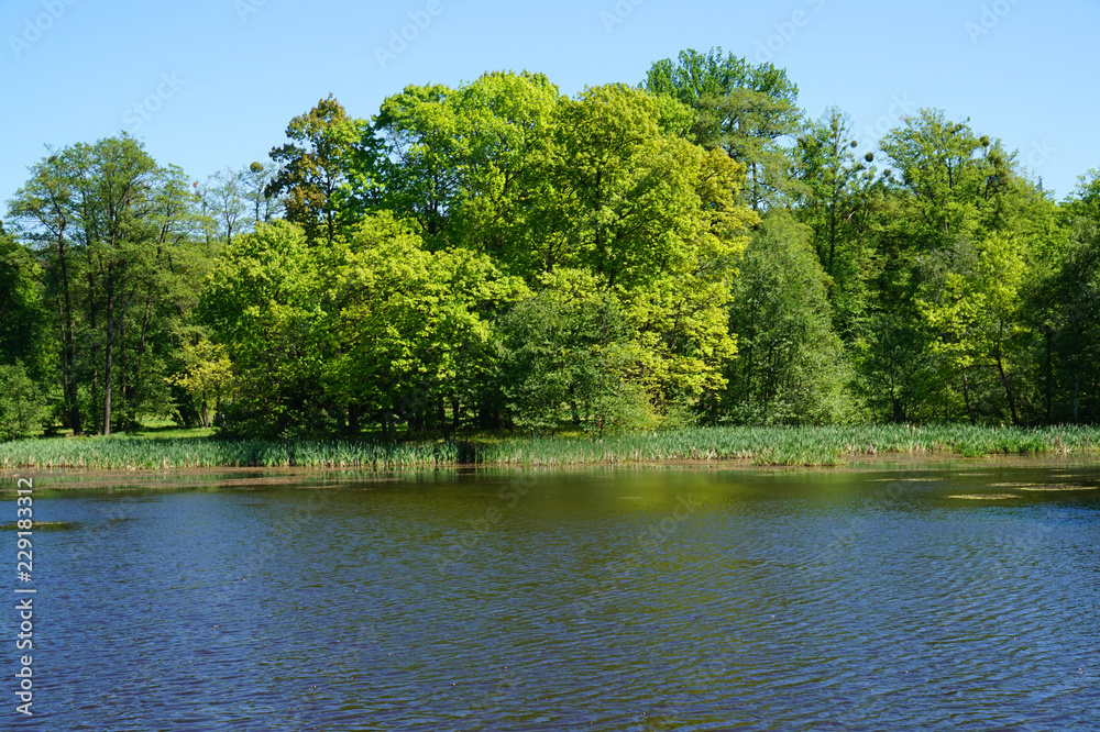 small lake near Radun castle