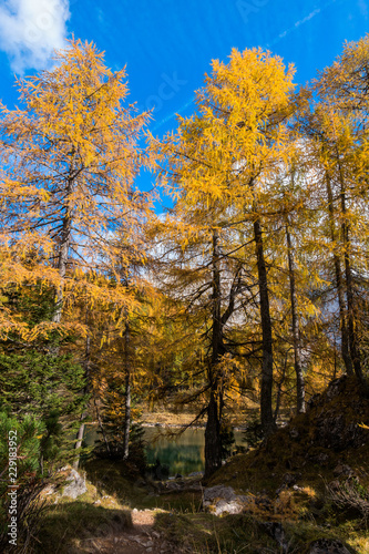 Colorful autumn morning in the mountains. Colourful autumn morning in mountain lake. Colorful autumn landscape.