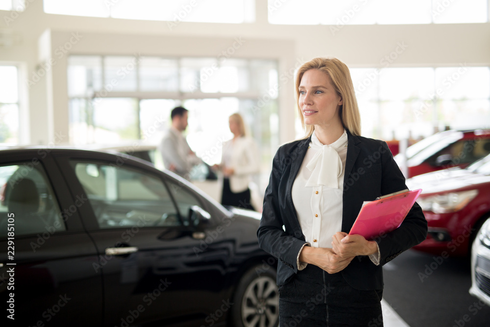 Professional salesperson during work with customer at car dealership. Professional salesperson during work with customer at car dealership.