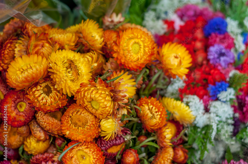 Fototapeta premium flores mexicanas dia de muertos nube cempasuchil orquidea