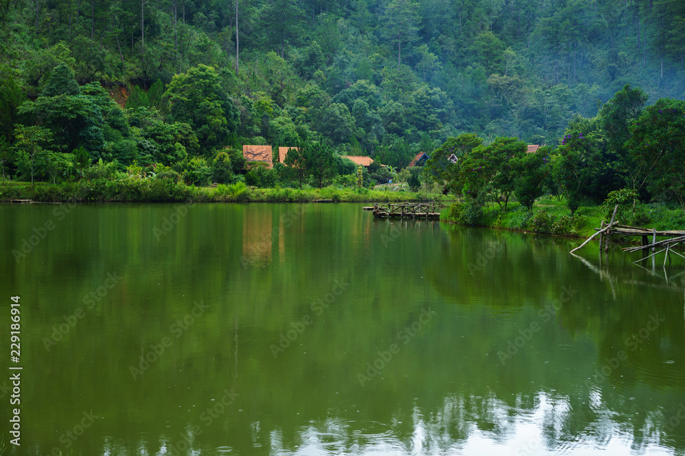 lake between the mountain