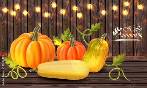 Autumn colorful pumpkins card Vector. Fall season harvest detailed illustrations