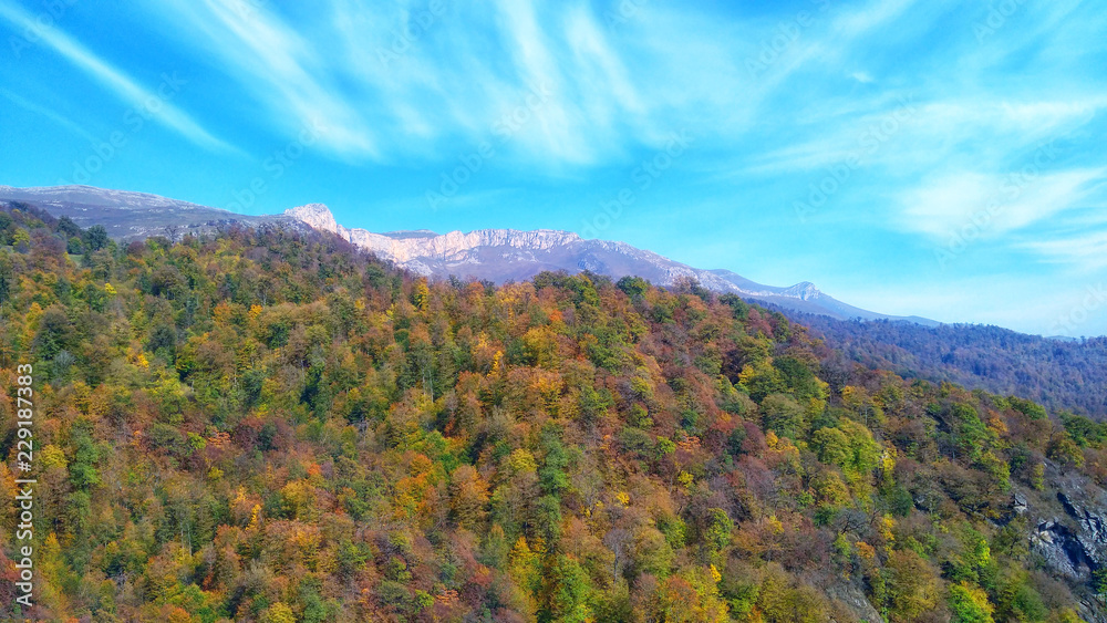 Autumn at mountains area. Travel and adventure. Beautiful colourfull forest and bright blue sky 