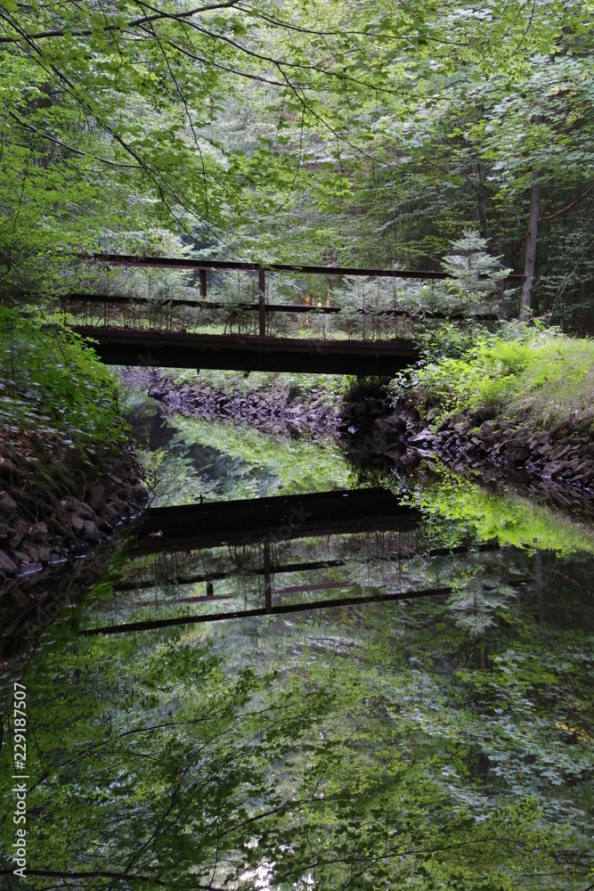 Rustic bridge in the bavarian forest over a little river Rustic bridge in the bavarian forest over a little river