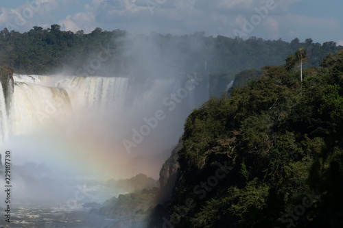 Iguazu falls and Atlantic rainforest in sunlight  Misiones  Argentina  South America