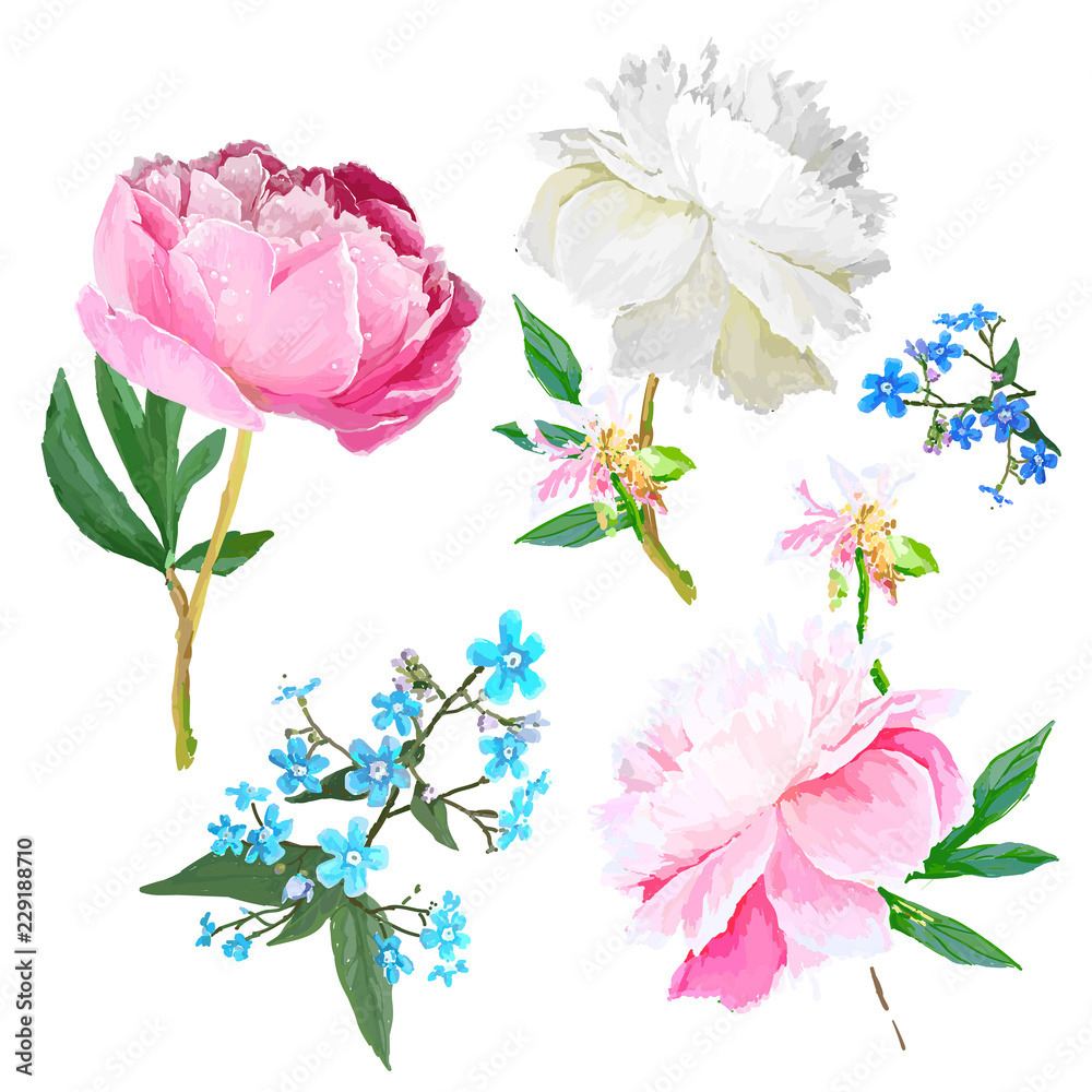 Peonies, forget-me-nots. Peonies, forget-me-nots.
