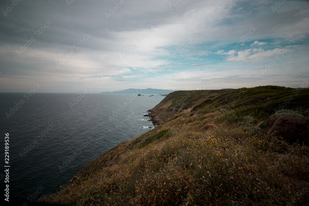 Cliff sea cloudy day. Mediterranean vegetation panorama. Sardinia, Italy.