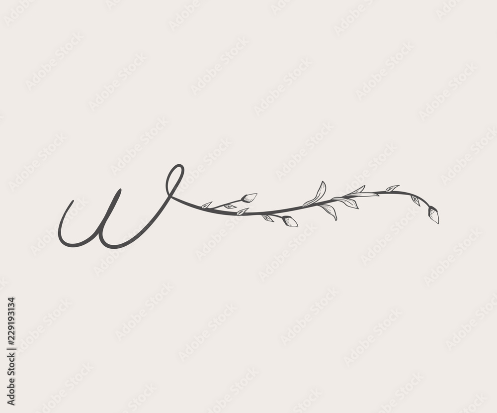 Vector Hand Drawn floral w monogram and logo Vector Hand Drawn floral w monogram and logo