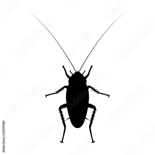 cockroach logo icon design vector