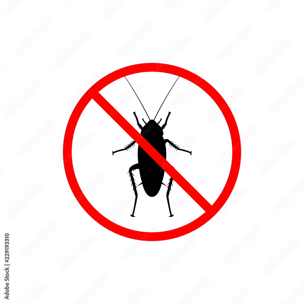 cockroach logo icon design vector cockroach logo icon design vector