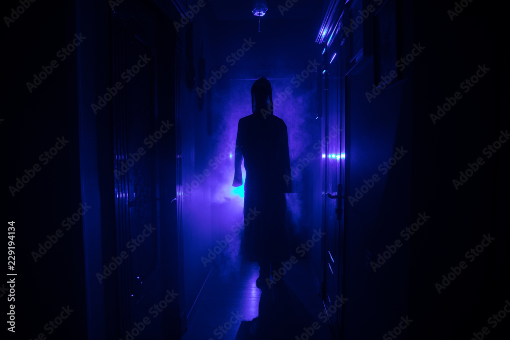 Fototapeta premium Creepy silhouette in the dark abandoned building. Horror Halloween concept. Dark corridor with silhouette of horror person standing in center. Toned light and fog on background. Selective focus