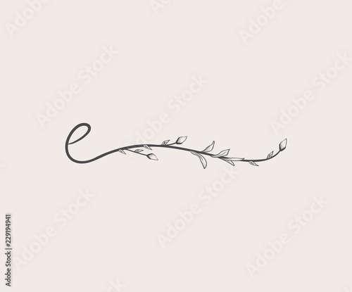 Vector Hand Drawn floral e monogram and logo