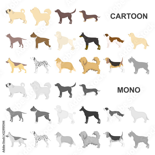 Dog breeds cartoon icons in set collection for design.Dog pet vector symbol stock web illustration. photo