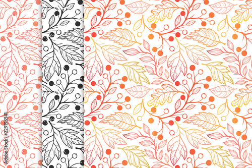 Collection of autumn patterns with leaves,berries and floral elements in fall colors.Seamless patterns perfect for prints, flyers,postcards,fabric,wrapping paper and more.Vector autumn backgrounds.
