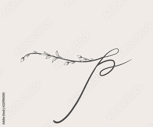 Vector Hand Drawn floral p monogram and logo