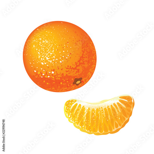 Tangerines or mandarins orange fruits and peeled segment