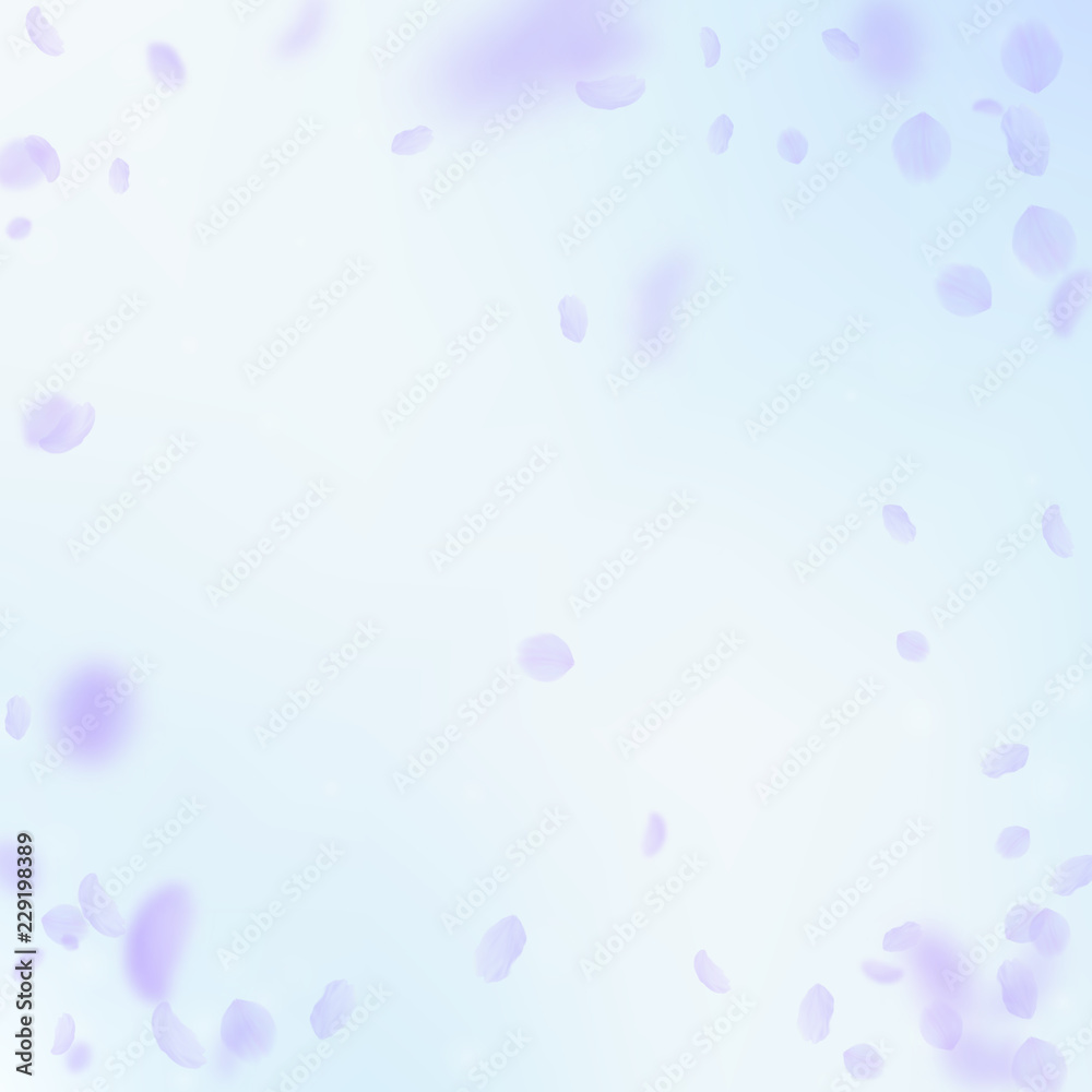 Violet flower petals falling down. Ravishing roman Violet flower petals falling down. Ravishing roman
