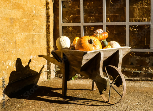 Rustic wooden wheelbarrow with cast iron wheel, full of assorted squashes and pumpkins, for Halloween. Bright autumn sunshine with mellow stone wall behind. England.