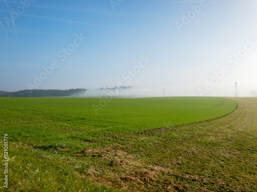 green field on a foggy day